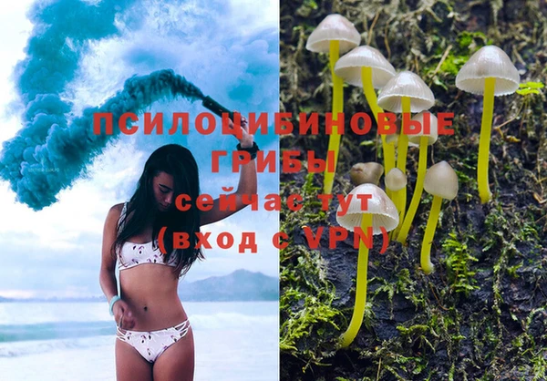 мет Аркадак