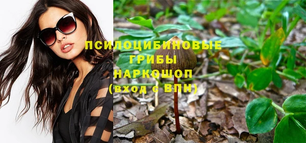 мет Аркадак