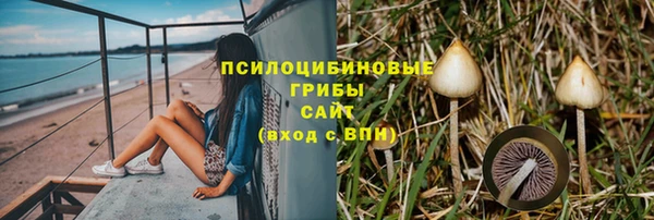 2c-b Арсеньев