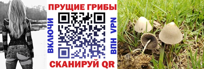сколько стоит  Асбест  Галлюциногенные грибы мухоморы 