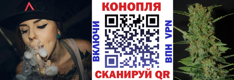 Конопля сатива Асбест